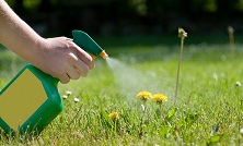 HERBICIDES